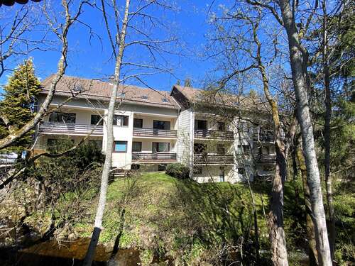 Foto - Wohnung zum Mieten in Braunlage 300,00 € 35 m²