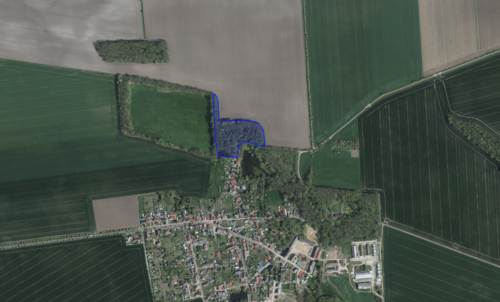 Foto - Grundstück zu verkaufen in 06369 Köthen (Anhalt) OT Merzien 55.000,00 € 20851 m²