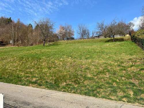 Foto - Grundstück zu verkaufen in Schönau 99.800,00 € 731 m²