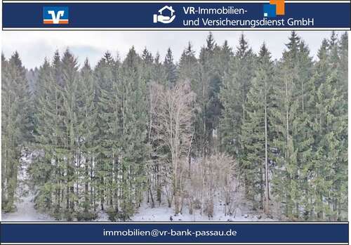 Foto - Grundstück in Grainet Rehberg 31.450,00 € 7362 m²