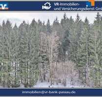 Grundstück in Grainet Rehberg 31.450,00 € 7362 m² - Grainet / Rehberg