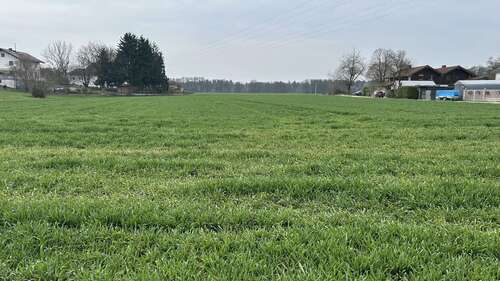 Foto - Grundstück zu verkaufen in Polling 598.000,00 € 2639 m²