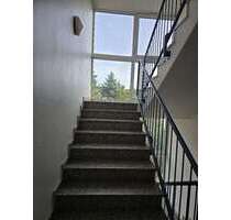 Wohnung zum Mieten in Treuen 376,00 € 53.75 m²