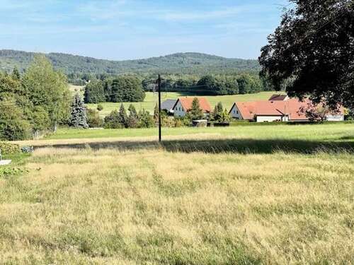 Foto - Grundstück zu verkaufen in Steina 168.120,00 € 1401 m²