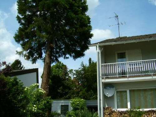 Foto - Wohnen auf Zeit in Bensheim 1.790,00 €