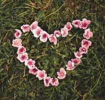 Grundstück zu verkaufen in Haag 486.000,00 € 1620 m²