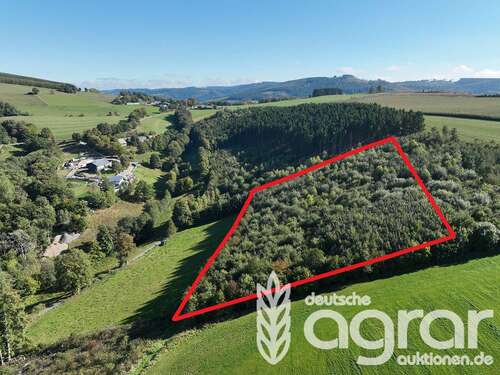 Foto - Grundstück in Olsberg 9.900,00 € 12107 m²