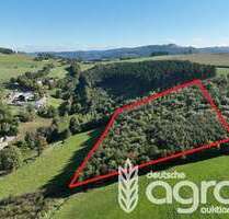 Grundstück in Olsberg 9.900,00 € 12107 m²