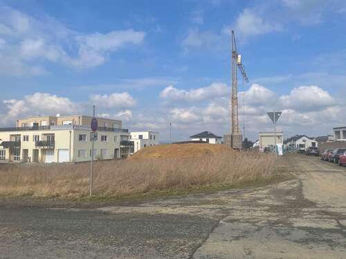 Foto - Grundstück zu verkaufen in Ilbenstadt 250.000,00 € 733 m²