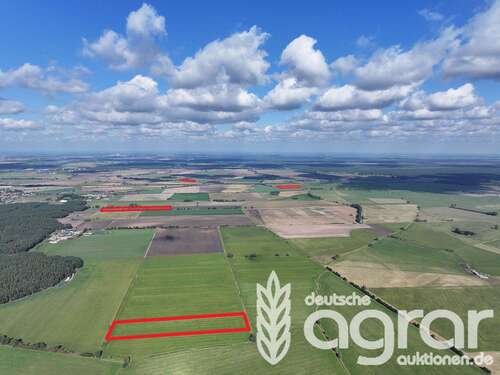 Foto - Grundstück in Schönhausen (Elbe) 99.900,00 € 117400 m²