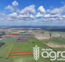 Grundstück in Schönhausen (Elbe) 99.900,00 € 117400 m²