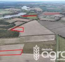 Grundstück in Päwesin 129.900,00 € 118016 m²