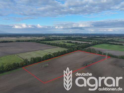 Foto - Grundstück in Schraden 49.900,00 € 67220 m²