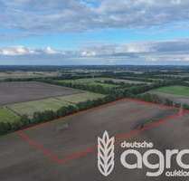 Grundstück in Schraden 49.900,00 € 67220 m²