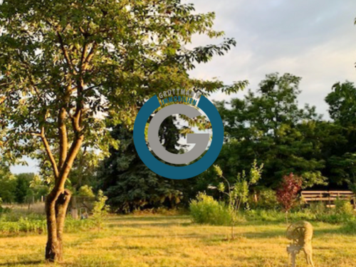 Foto - Haus zum Kaufen in Liebenwalde 499.000,00 € 227 m²