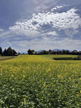 Foto - Grundstück zu verkaufen in Breitbrunn am Chiemsee 950.000,00 € 834 m²