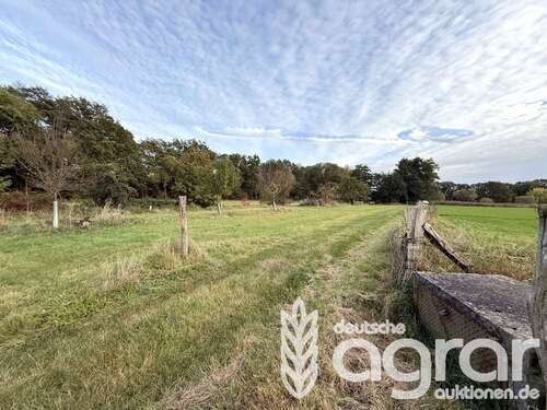 Foto - Grundstück in Bad Düben 20.000,00 € 13288 m²