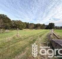 Grundstück in Bad Düben 20.000,00 € 13288 m²