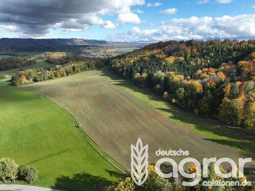 Foto - Grundstück in Schalkau Katzberg 99.900,00 € 89324 m²