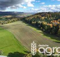 Grundstück in Schalkau Katzberg 99.900,00 € 89324 m² - Schalkau / Katzberg