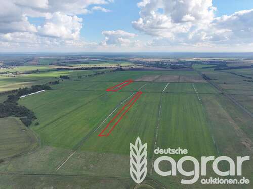 Foto - Grundstück in Ferdinandshof 39.900,00 € 52930 m²