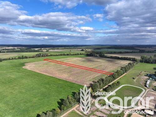 Foto - Grundstück in Beelitz 12.900,00 € 10570 m²