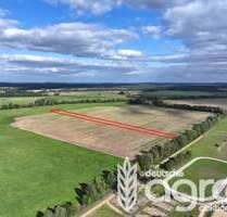 Grundstück in Beelitz 12.900,00 € 10570 m²