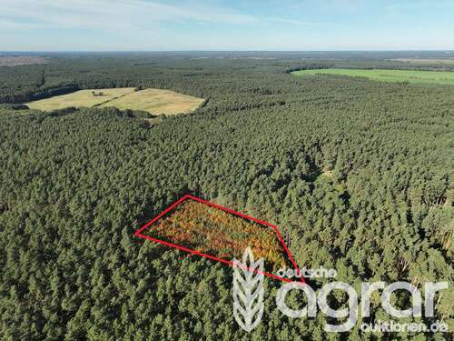 Foto - Grundstück in Alt Krenzlin Loosen 7.500,00 € 7695 m²