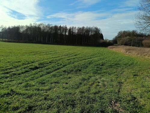 Foto - Grundstück in Blönried 77.000,00 € 17465 m²