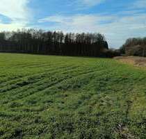 Grundstück in Blönried 77.000,00 € 17465 m²