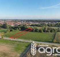 Grundstück in Rülzheim 6.000,00 € 1712 m²