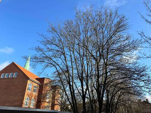 Foto - Wohnung zum Mieten in Lübeck 1.326,00 € 68 m²