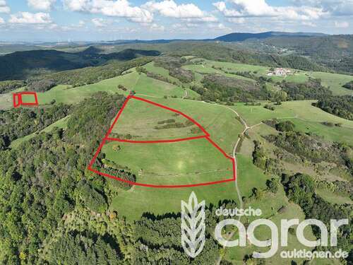 Foto - Grundstück in Schweisweiler 38.900,00 € 69936 m²