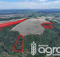 Grundstück in Bahretal 19.900,00 € 30957 m²