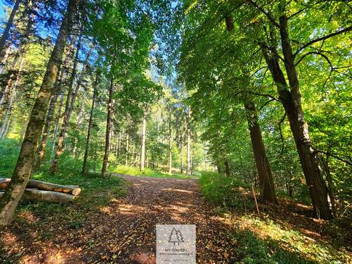 Foto - Grundstück in Ursberg 29.900,00 € 6975 m²