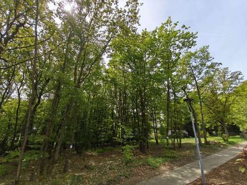 Foto - Grundstück zu verkaufen in Stromberg Schindeldorf 80.000,00 € 652 m²