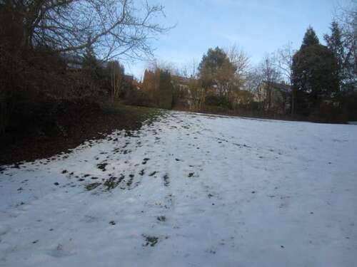 Foto - Grundstück zu verkaufen in Mirskofen 459.000,00 € 998 m²