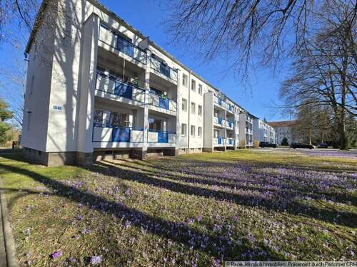 Foto - Wohnung zum Mieten in Chemnitz 280,00 € 45 m²