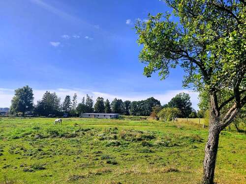 Foto - Grundstück zu verkaufen in Neukalen 229.000,00 € 14715 m²