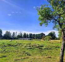 Grundstück zu verkaufen in Neukalen 229.000,00 € 14715 m²