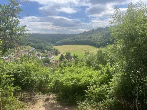 Foto - Haus zum Kaufen in Breuberg Wald-Amorbach 269.000,00 € 117 m²