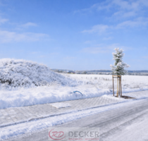 Grundstück zu verkaufen in Geiselhöring 305.660,00 € 899 m²