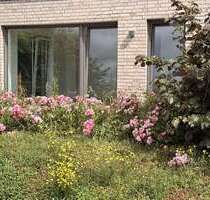 Wohnung zum Kaufen in Bissendorf 235.000,00 € 66 m²