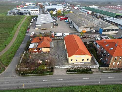 Foto - Halle in Kirrweiler 999.000,00 € 400 m²