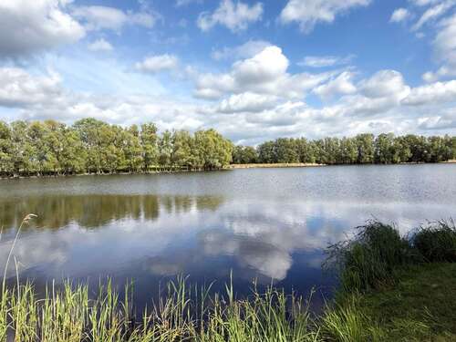 Foto - Grundstück zu verkaufen in Schwante Oberkrämer 197.500,00 € 735 m²