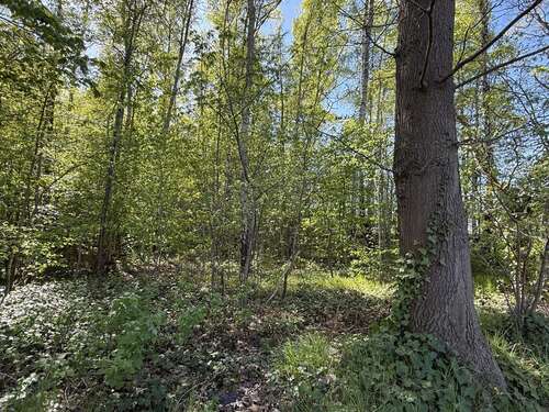 Foto - Grundstück in Halstenbek 45.000,00 € 12728 m²