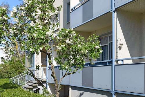 Foto - Wohnung zum Mieten in Halle (Saale) 352,47 € 60.77 m²