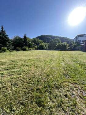 Foto - Grundstück zu verkaufen in Bleicherode 90.000,00 € 1000 m²