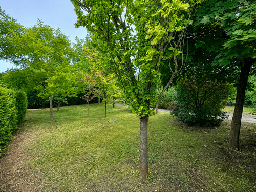 Foto - Grundstück zu verkaufen in Berlin 390.000,00 € 1063 m²