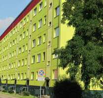Wohnung zum Mieten in Zielitz 305,00 € 55 m²